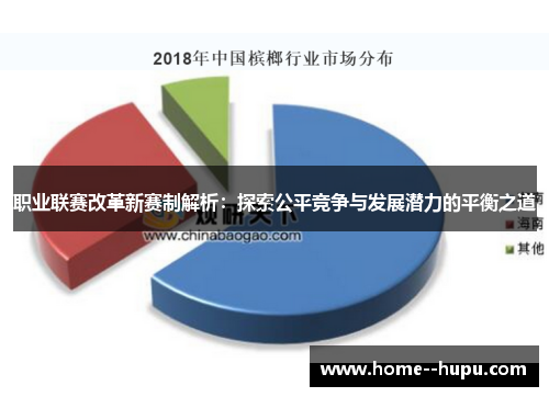 职业联赛改革新赛制解析：探索公平竞争与发展潜力的平衡之道