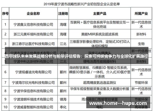 西甲球队未来发展战略分析与前景评估报告：探索可持续竞争力与全球化扩展路径