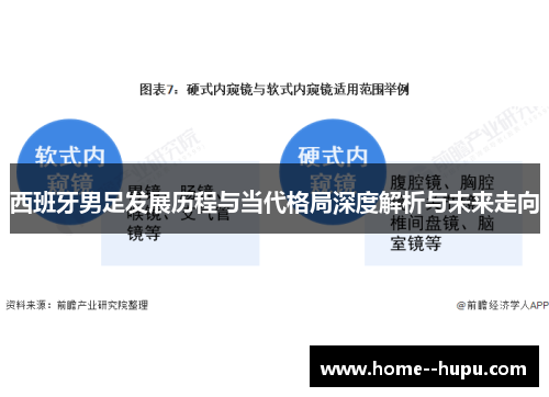 西班牙男足发展历程与当代格局深度解析与未来走向