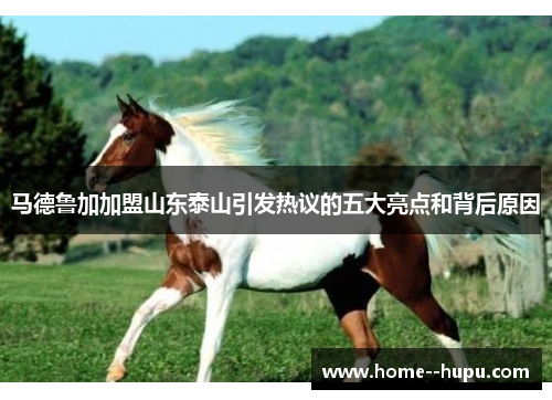 马德鲁加加盟山东泰山引发热议的五大亮点和背后原因